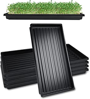 Hydroponic Trays In Kenya Grekkon Limited