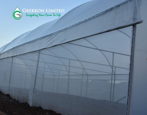 Affordable Greenhouses In Kenya