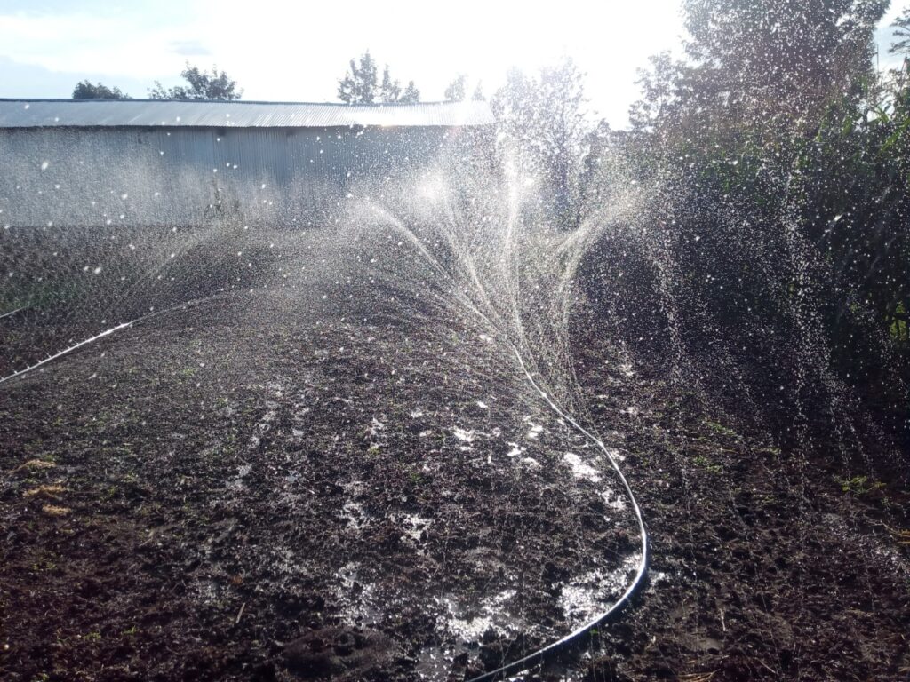 Rain hose irrigation system