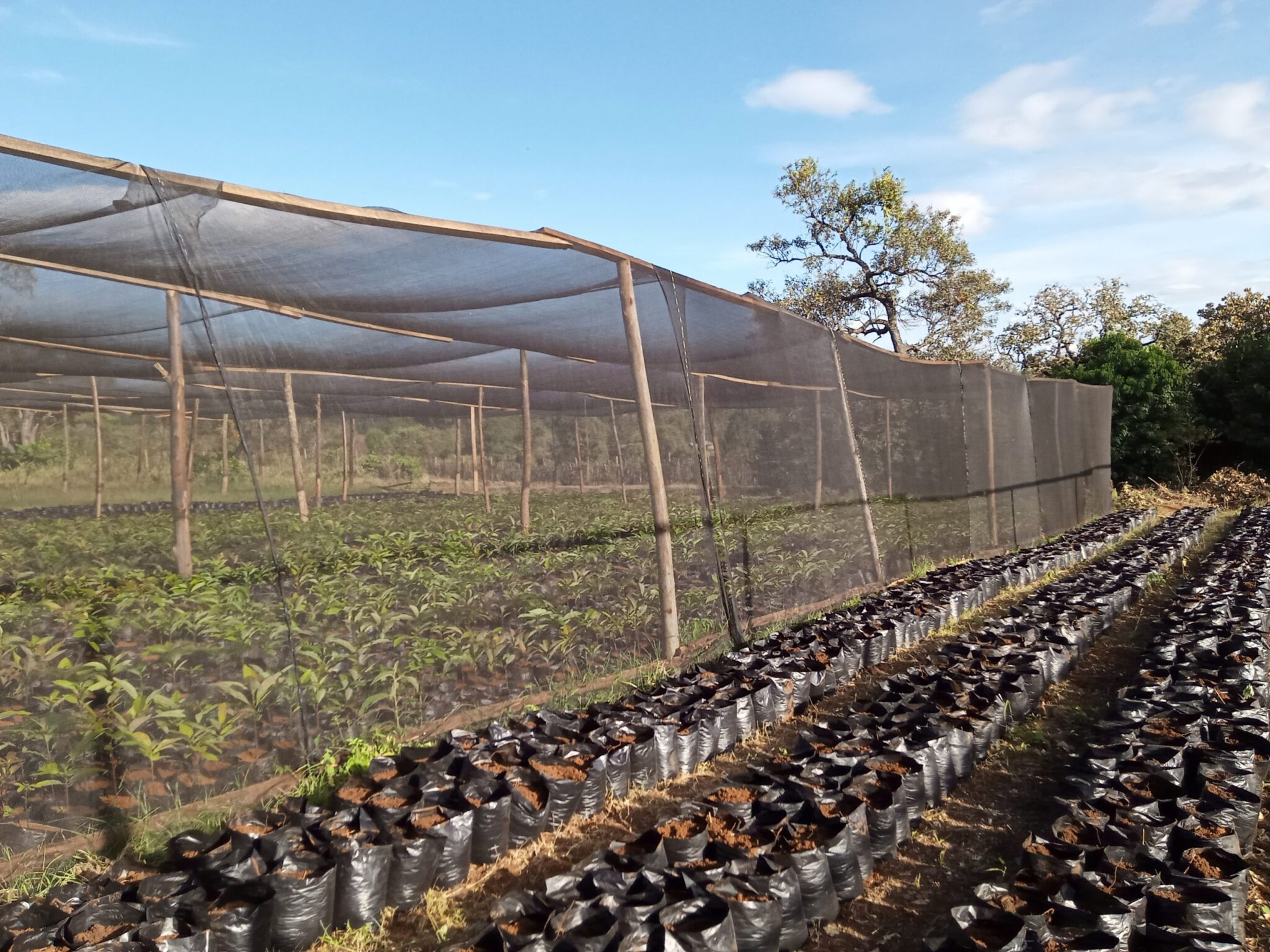 Shade Nets Grekkon Limited