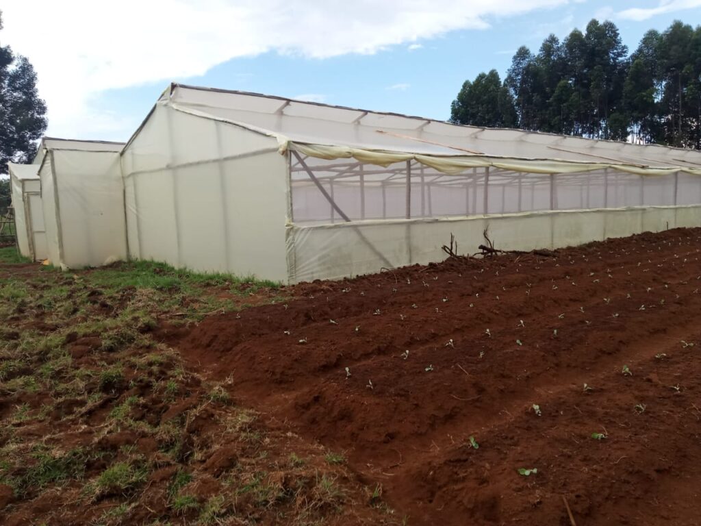 Wooden greenhouses prices in Kenya 0711 895 635` Grekkon Limited