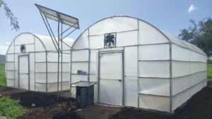 solar dryers for fruits and vegetables