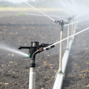Types of sprinkler irrigation systems