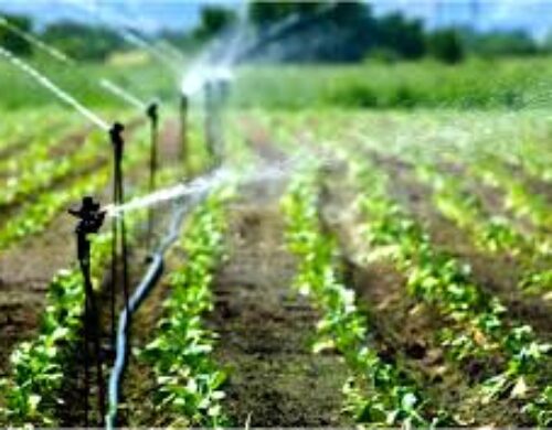 Types of Irrigation Pipes In Kenya