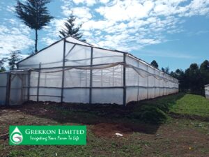Low cost greenhouses in Kenya by Grekkon Limited