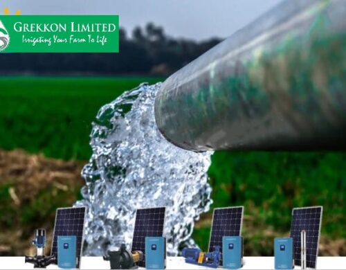 Solar Water Pumps For Agriculture