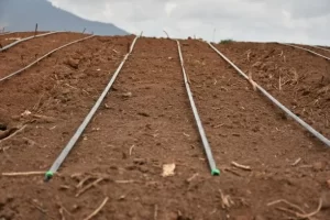 Cost of drip irrigation per acre