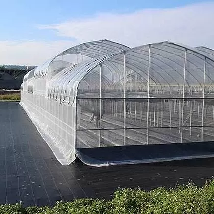 Insect Nets - Image 4
