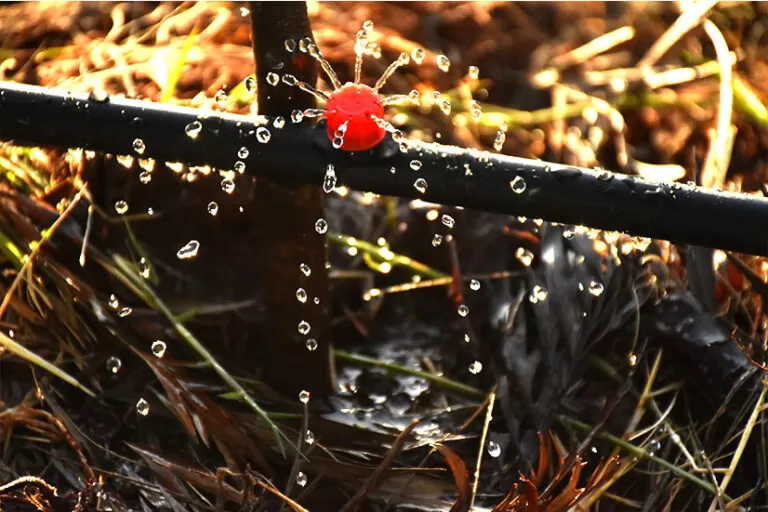 Irrigation systems in Kenya