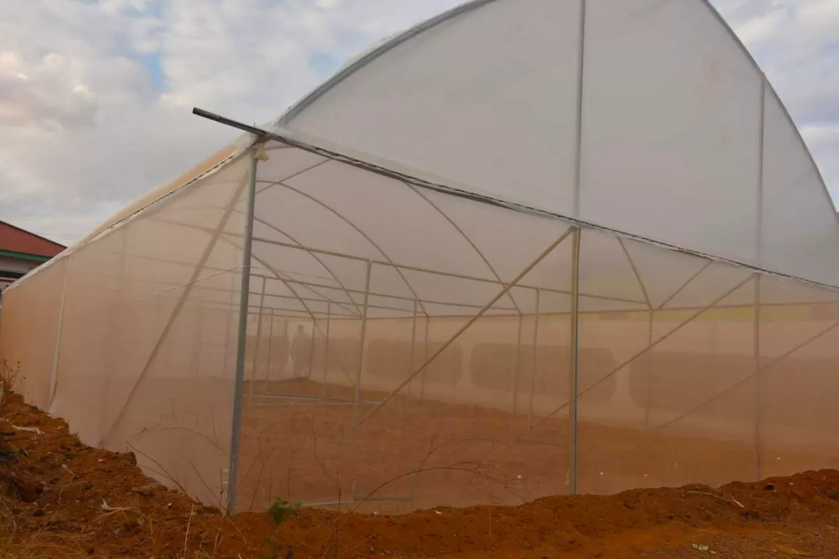 Greenhouse Construction Cost in Kenya - Image 6