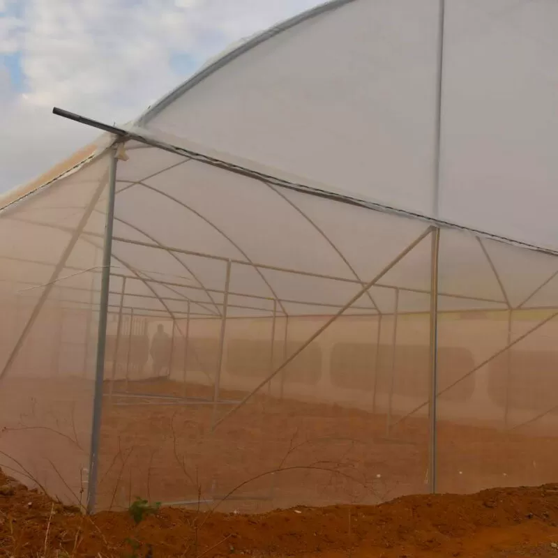 Greenhouse Construction Cost in Kenya - Image 6