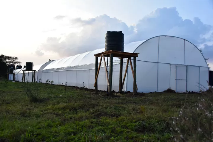Greenhouse Construction Cost in Kenya - Image 7
