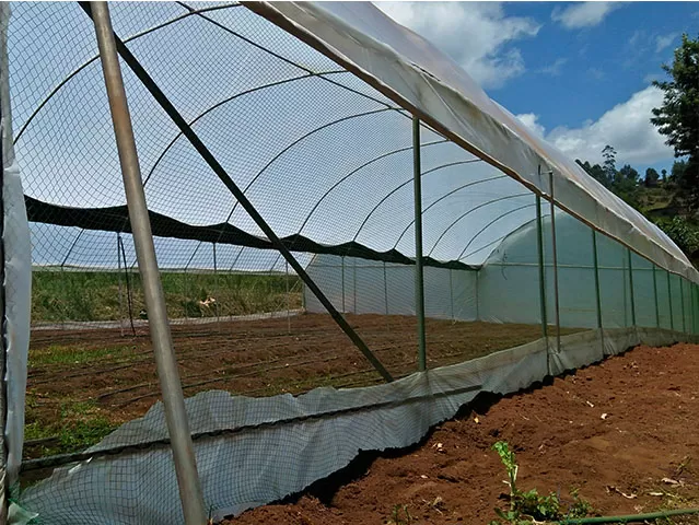 Greenhouse Construction Cost in Kenya - Image 4
