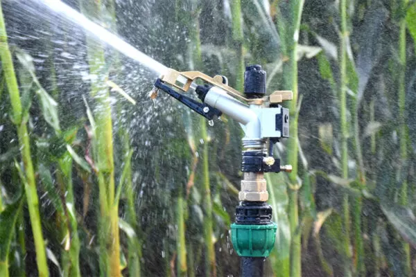 Irrigation systems in Kenya