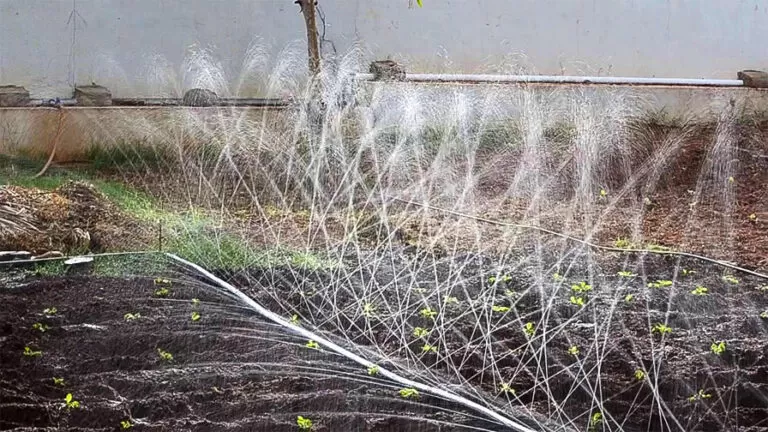 grekkon-rain-hose-04-768x432 Irrigation systems in Kenya