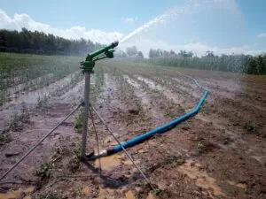 Irrigation company in Mombasa