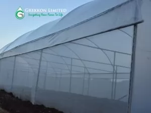 Greenhouse paper in Kenya