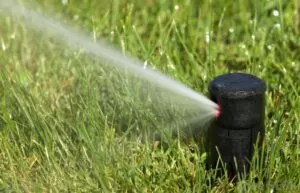 Water sprinklers