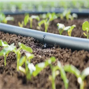 Drip lines for sale in Kenya